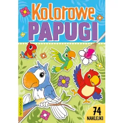KOLOROWE PAPUGI Z NAKLEJKAMI