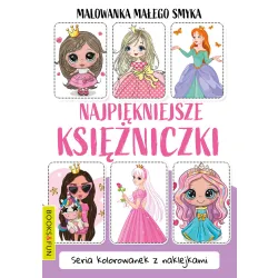 MALOWANKA MAŁEGO SMYKA  NAJPIĘKNIEJSZE KSIĘŻNICZKI Z NAKLEJKAMI