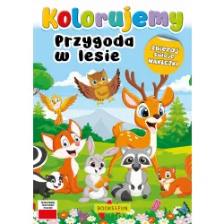 KOLORUJEMY PRZYGODA W LESIE Z NAKLEJKAMI