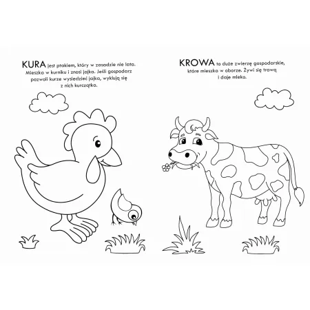 ZWIERZĘTA WIEJSKIE  (KOLOROWANKA Z NAKLEJKAMI)