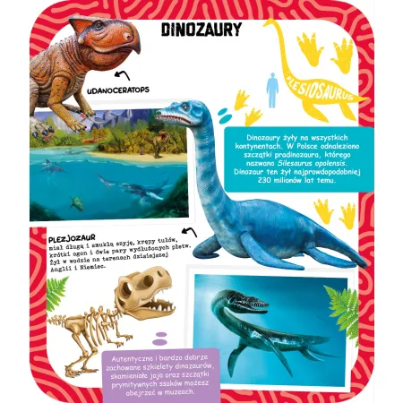DINOZAURY ,WIEM CORAZ WIĘCEJ -CZYTAJ I KOLORUJ