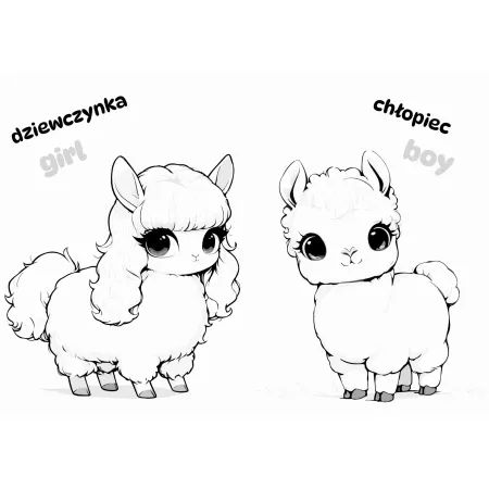 ANIMALOWANKI  ALPAKI
