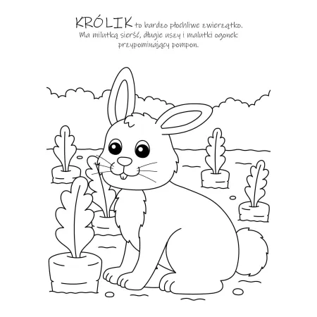 KOLOROWE CHWILE ZWIERZĄTKA NA WSI